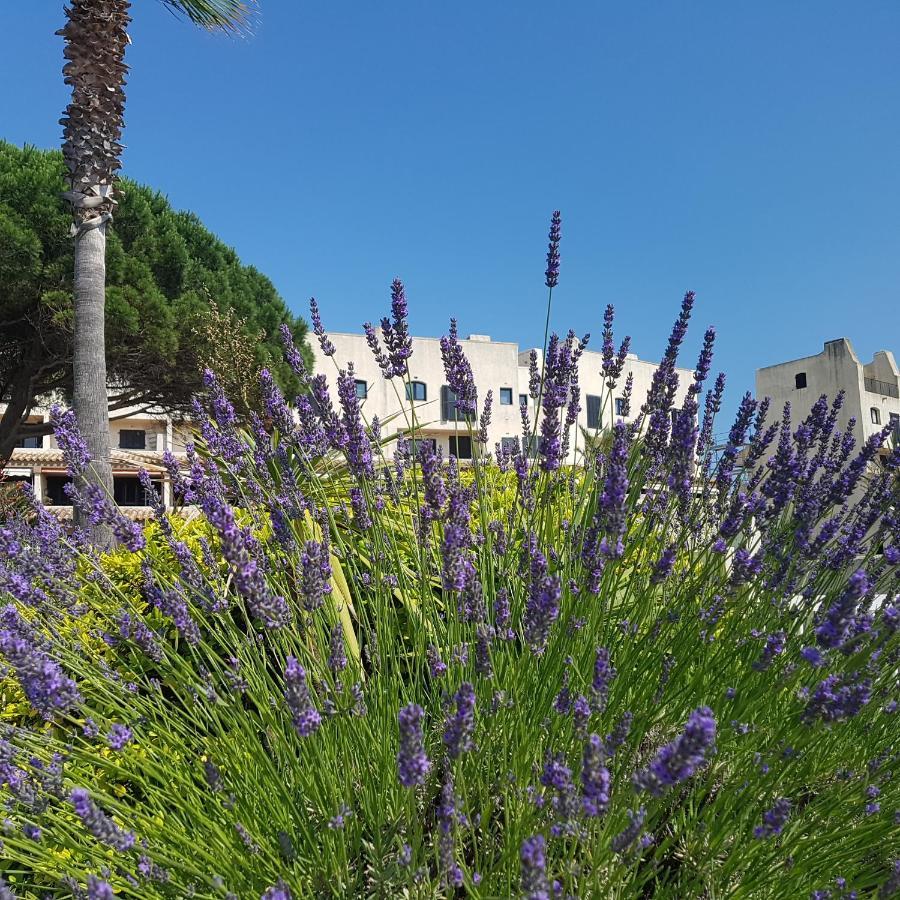 Magnifique 2 Pieces Vue Port Et Mer Cogolin Εξωτερικό φωτογραφία